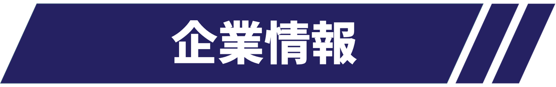 企業情報 //